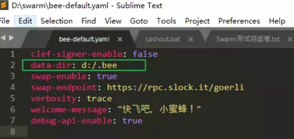 史上最周詳的bzz節點搭建教程.png