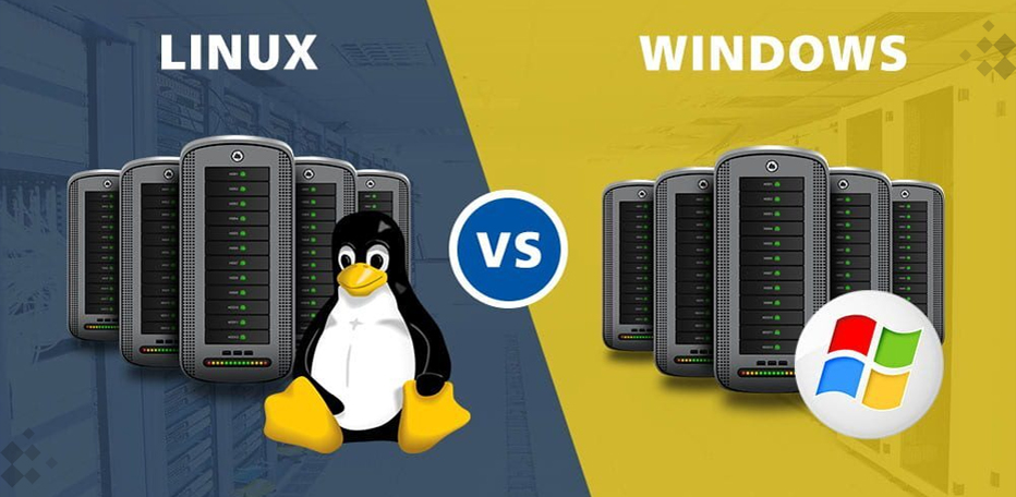 61dd2405611c8.jpg linux vps和windows vps.jpg