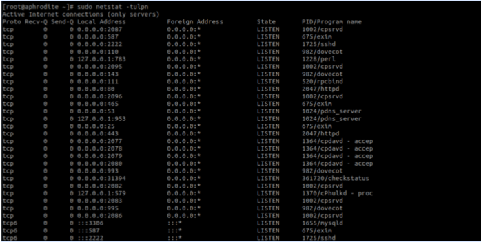如何在Linux服務(wù)器中實(shí)時(shí)觀察 TCP 和 UDP 端口？.png