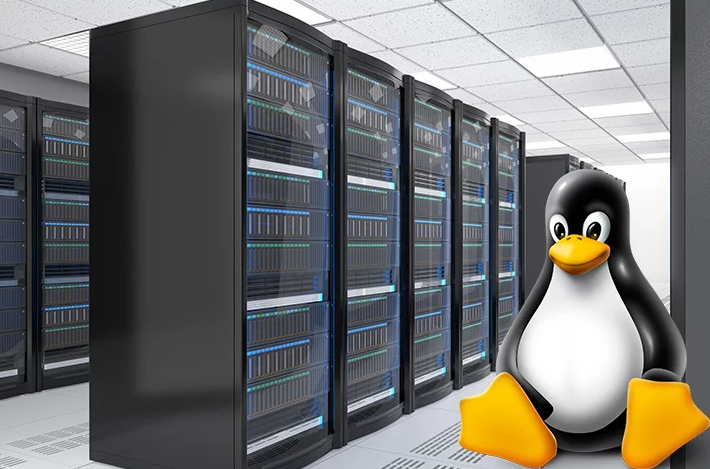 63bfb1d5b2a50.png 購買Linux服務(wù)器需要考慮哪些因素?.png