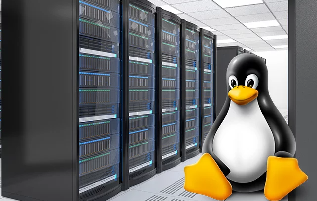 63c0fd7d942d8.png 什么是Linux服務器?Linux服務器有哪些特性和優勢?.png
