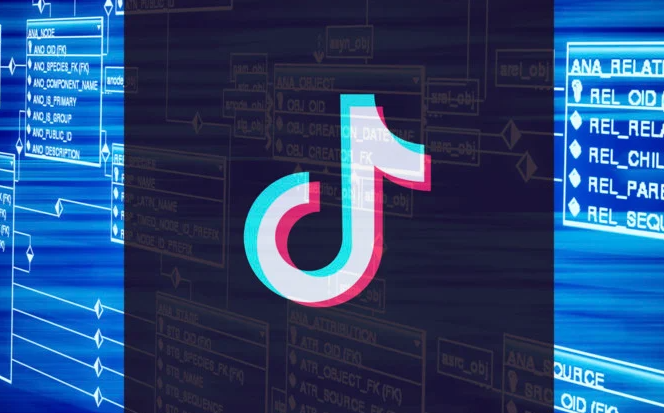 645c97cd33217.png 性價(jià)比高的印度尼西亞tiktok節(jié)點(diǎn)有何推薦?.png