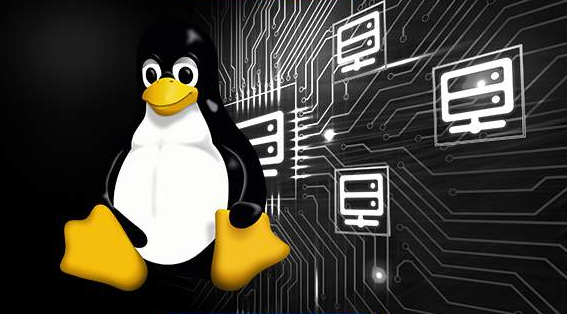 6549e6cf4ba01.png 如何查看linux系統版本?.png