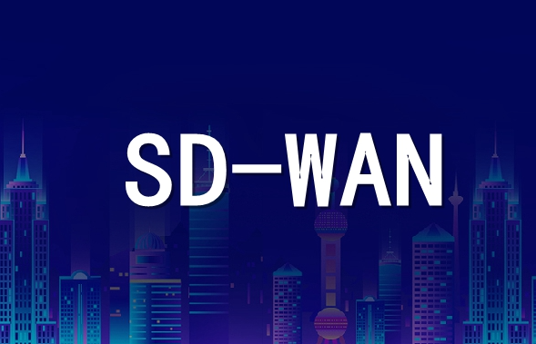 65b20e1cc72a1.png 企業總部和分部使用SD-WAN技術有哪些優勢和步驟?.png