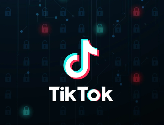 tiktok直播使用專(zhuān)線(xiàn)網(wǎng)絡(luò)的費(fèi)用需要多少？.png